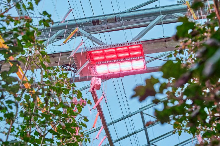 Signify belichtingspartner van Plant Empowerment