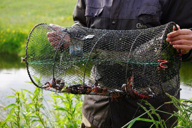 Maatregelen helpen, maar druk op kwaliteit blijft 