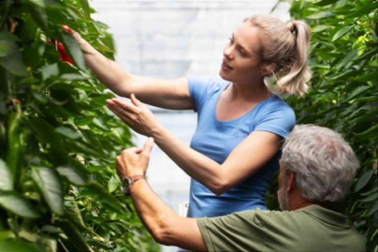 Samen werken aan vitaal glastuinbouwbedrijf