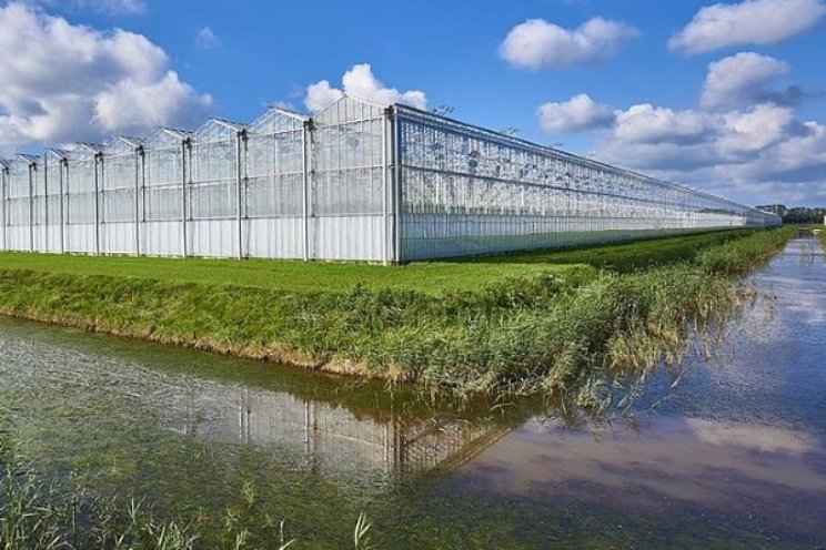 ‘Compromis herstelwet Timmerman kat in de zak' ‘Compromis herstelwet Timmerman kat in de zak'