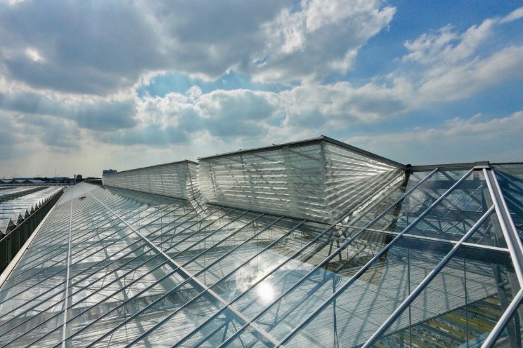 Nieuwe partner voorziet Tomatoworld van gaas