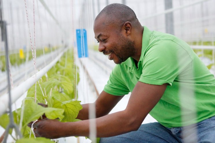 Tijd voor nieuwe plantjes! Tijd voor nieuwe plantjes!