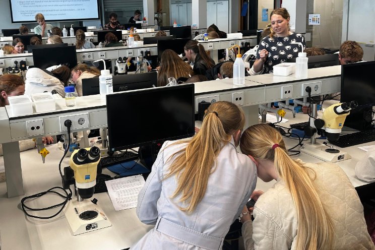 College: hoe gaan planten om met stress?