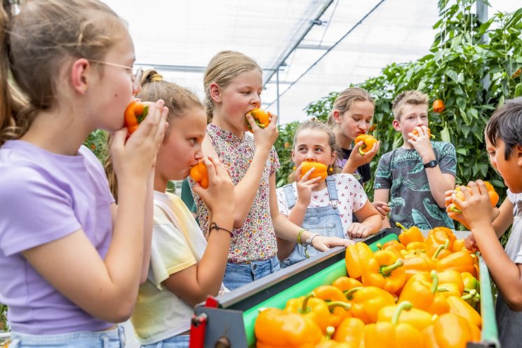 Kokkerelli maakt voorlopige doorstart na tijdelijke steun