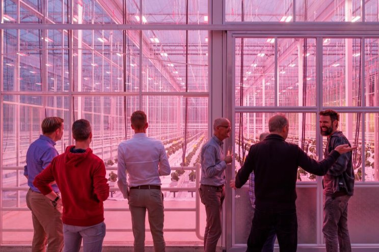 Rijk Zwaan breidt uit