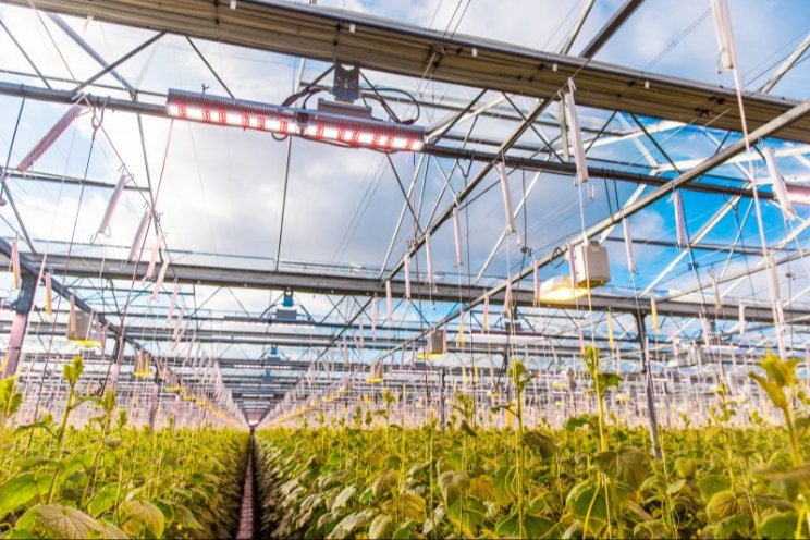 Sleutelrol voor tuinbouw! Sleutelrol voor tuinbouw!