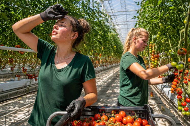 Werken bij warm weer? Bekijk dan deze tips!