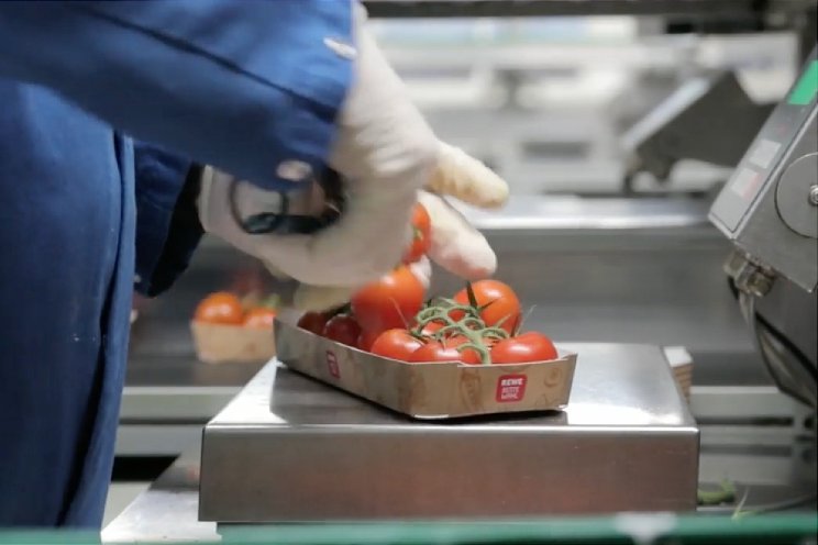 Efficiënt en duurzaam verpakken bij Noordhuys Efficiënt en duurzaam verpakken bij Noordhuys