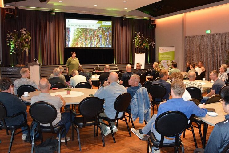 Verder besparen bij teelt van tomaten onder LED