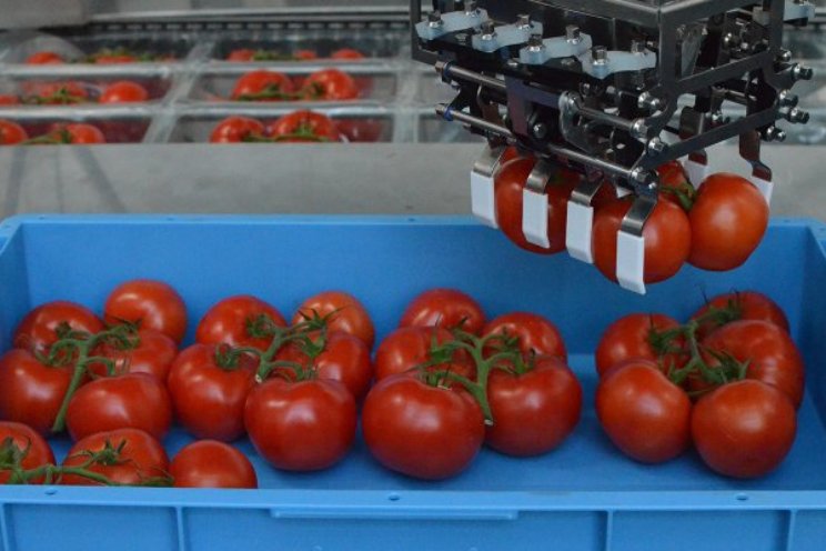 Salade maken met robots Salade maken met robots
