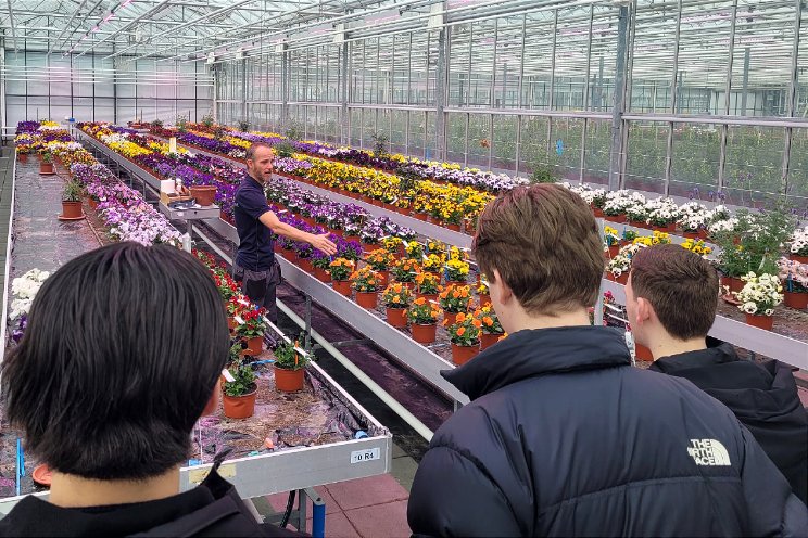 Mbo-studenten maken kennis met zaadveredeling