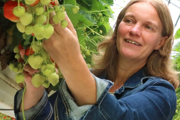 Kennismiddagen over microbioom in de teelt