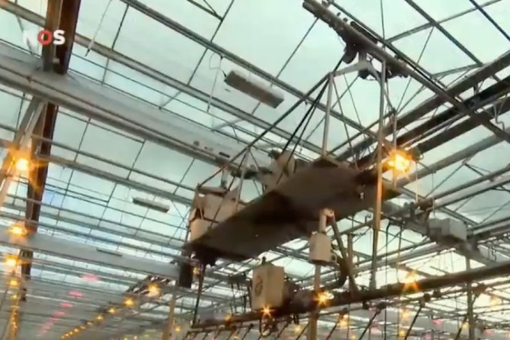 ADI en Deliflor vertellen over AI in NOS Journaal ADI en Deliflor vertellen over AI in NOS Journaal