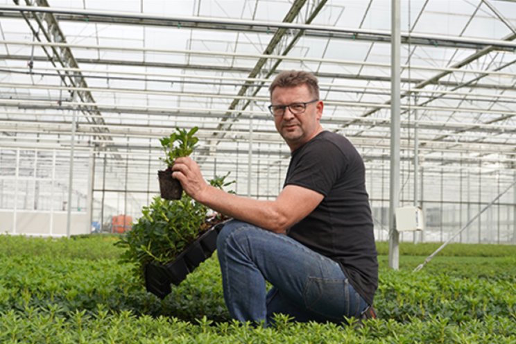 Continu blijven werken aan weerbare planten Continu blijven werken aan weerbare planten
