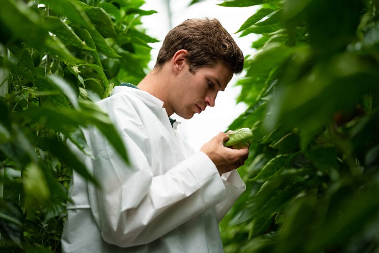 Pilot 100% Groen Geteeld: drastisch minder chemie Pilot 100% Groen Geteeld: drastisch minder chemie
