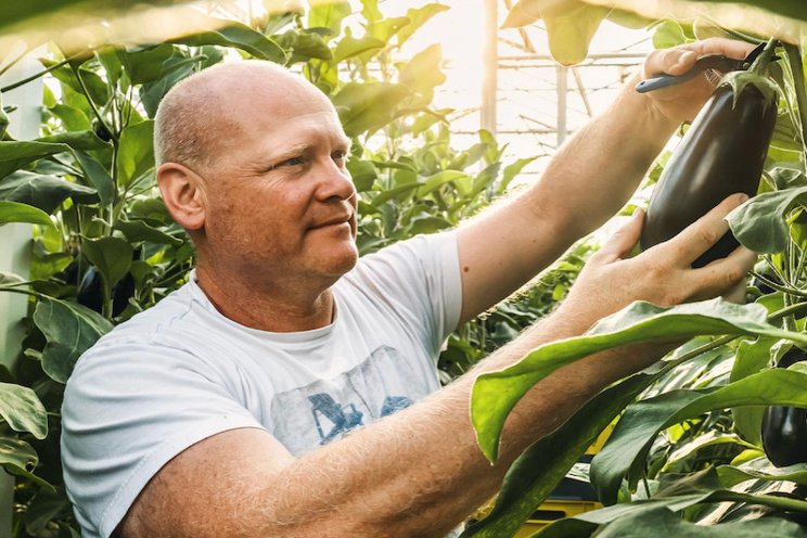 Van Nuffelen: 'Aubergines van om de hoek'