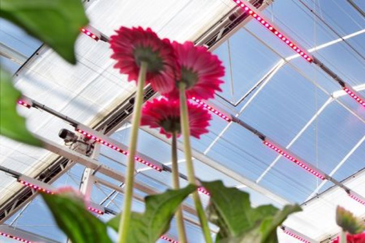 Groene Kracht Vooruit groeit door in 2025