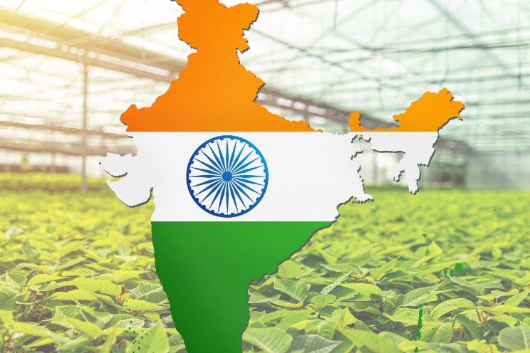 EU–India deal opent kansen voor de tuinbouw