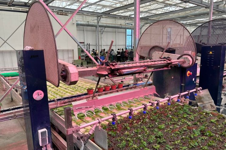 Gespot: Neerzetrobot