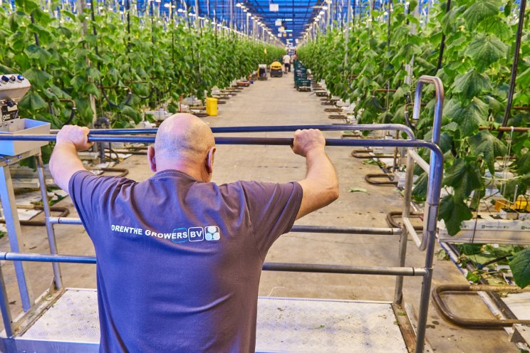 'Geef tuinbouw bij Emmen perspectief en ruimte'