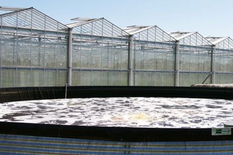 Werkgroep wil droogteprobleem voorkomen in 2027
