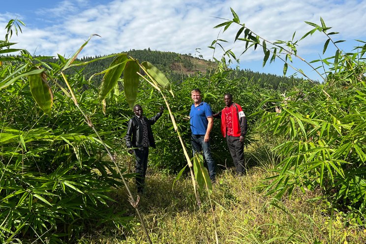 Certificering compensatie via Bamboo Village