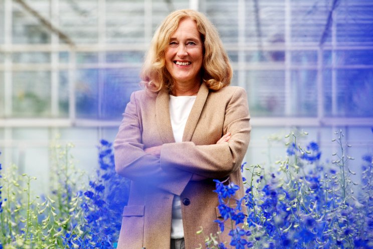 'Energietransitie glastuinbouw afgeremd'