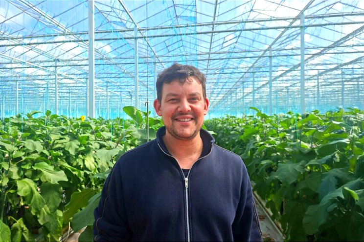 Rust en overzicht voor groenteteler in Frankrijk