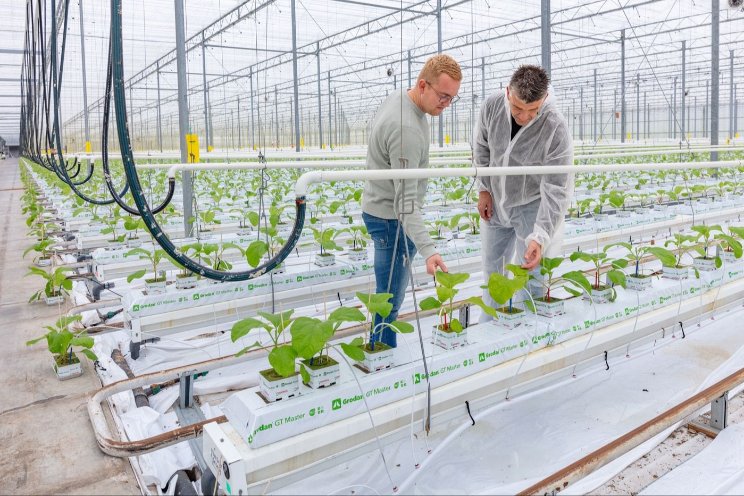 'Chemische middelen volledig uitfaseren' 'Chemische middelen volledig uitfaseren'