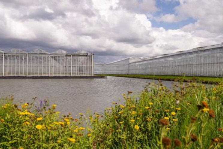 Belangrijkste feiten en cijfers glastuinbouw