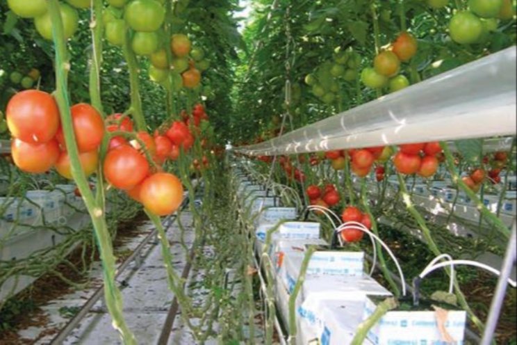 Brandbrief over levering CO2 voor glastuinbouw