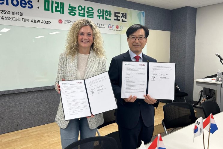 WHC verlengt partnership met Koreaanse hub