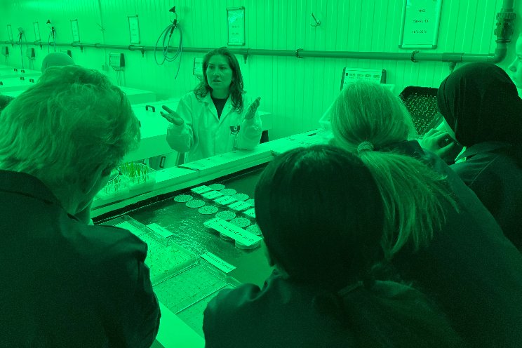 Girls’ Day bij Incotec Girls’ Day bij Incotec