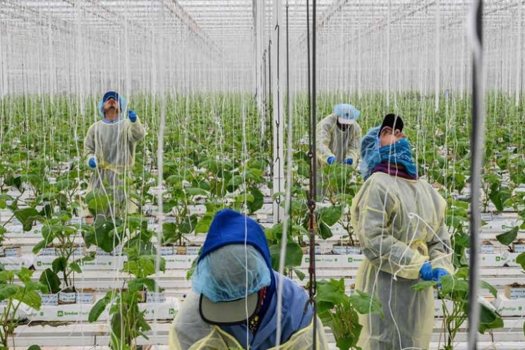 Food for Thought: hoe voeden we de wereld? Food for Thought: hoe voeden we de wereld?