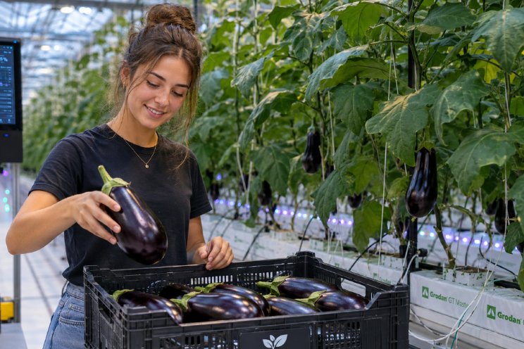 'Flexwet drukt op werkgevers en markt'
