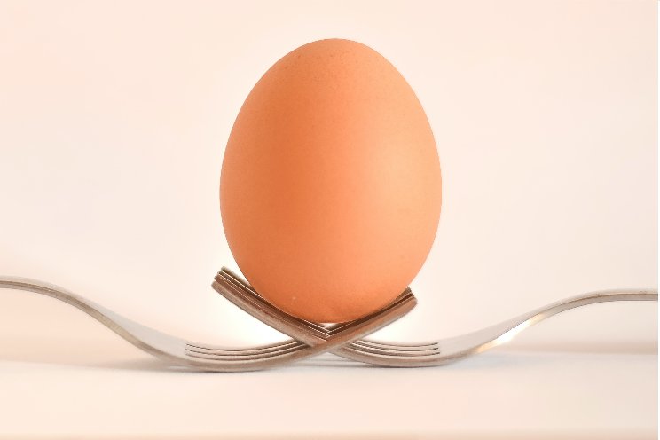 Powerful Eggs in Den Haag