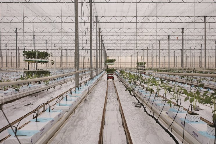 ‘Alles draait bij ons om planning’ ‘Alles draait bij ons om planning’