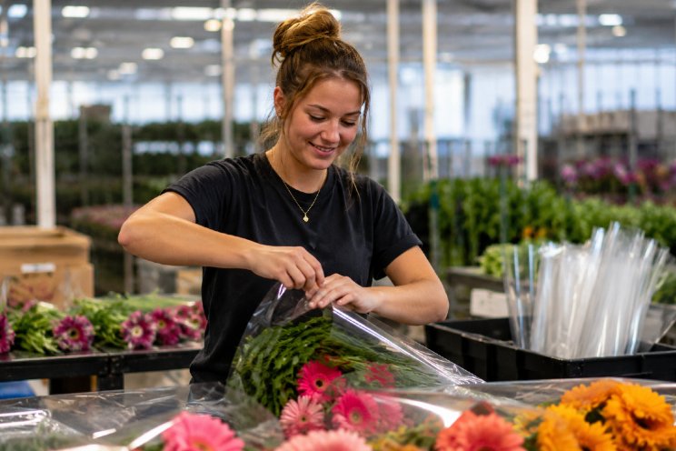 HSPI-deelnemers maken samen PPWR-sjabloon