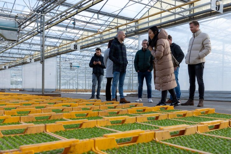 In september Engelse editie van IntoTuinbouw