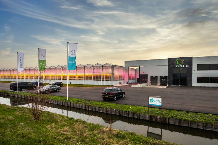 The Flavour Farm neemt Duijvestijn Tomaten over The Flavour Farm neemt Duijvestijn Tomaten over