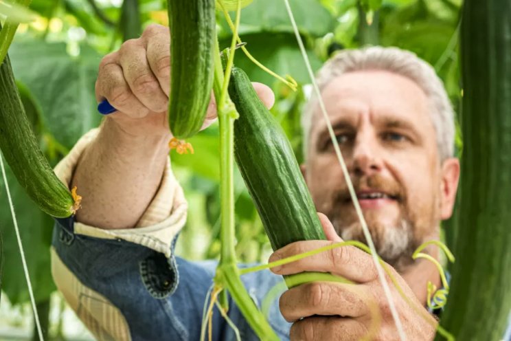 Harvest House committeert zich aan klimaatdoelen