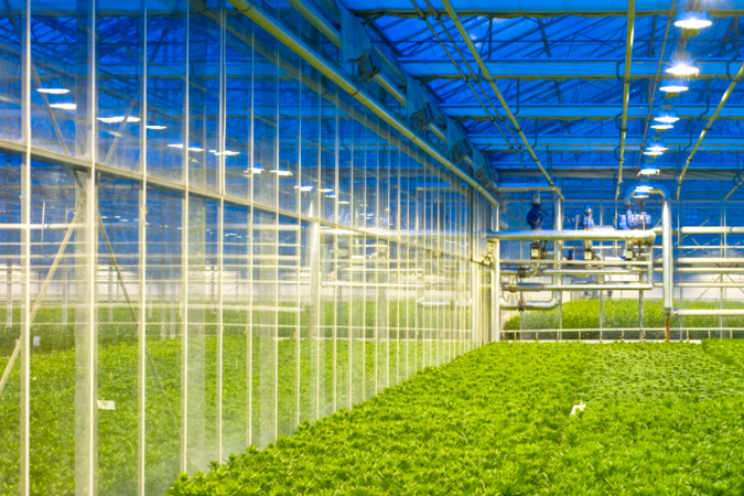 Sector verzet zich tegen besluit ETS-2 en bijmengen Sector verzet zich tegen besluit ETS-2 en bijmengen