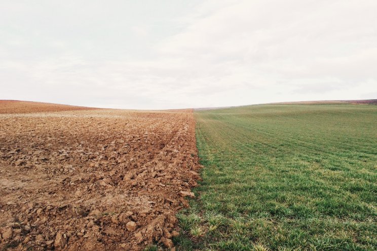 Extreem weer toont kwetsbare foodsector Extreem weer toont kwetsbare foodsector