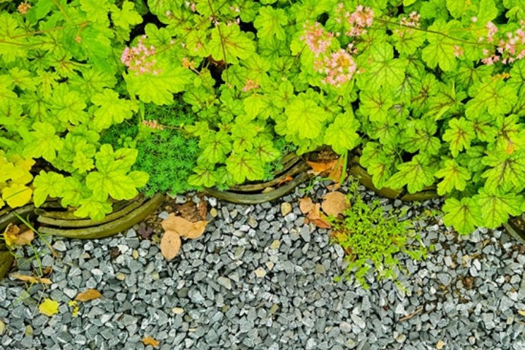 'Groene tuin belangrijk als natuurlijke airco'