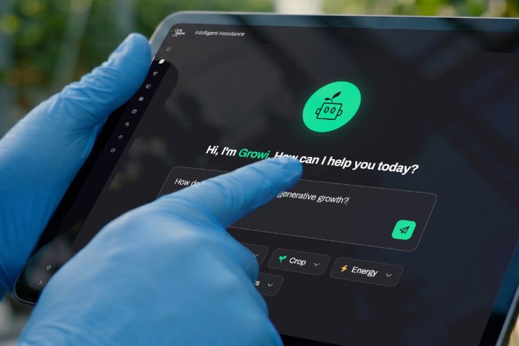 LetsGrow.com lanceert Intelligent Assistance