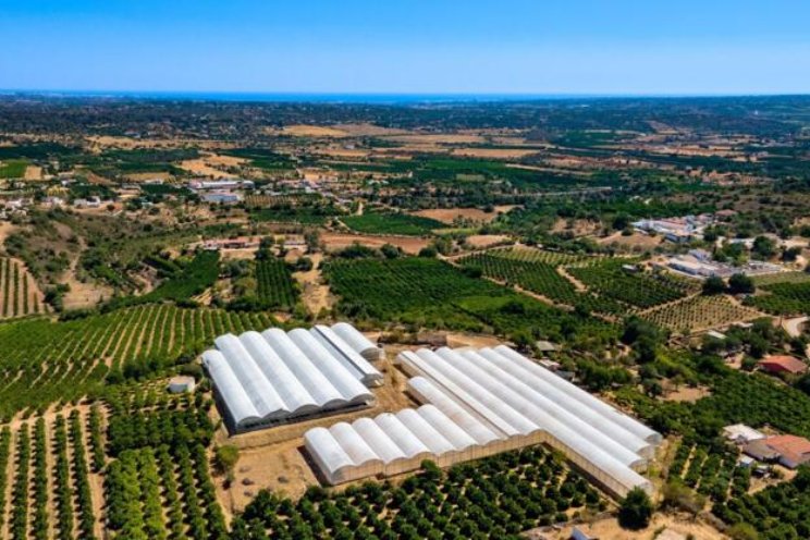 Bedrijf in Algarve te koop op TuinbouwMarktplaats