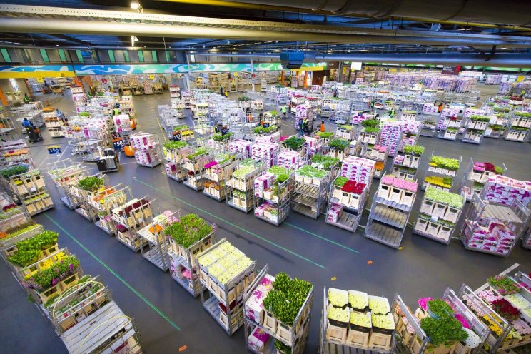 Recordwaarde import en export door hoge prijzen Recordwaarde import en export door hoge prijzen