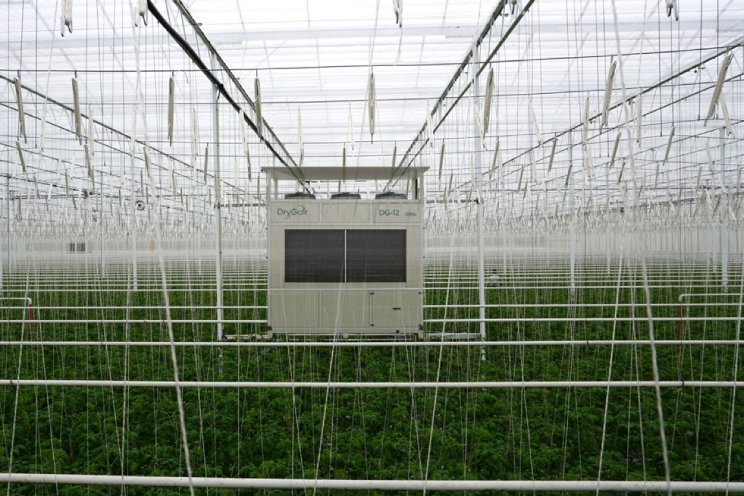 Smallere DryGair units voor hogedraadteelt