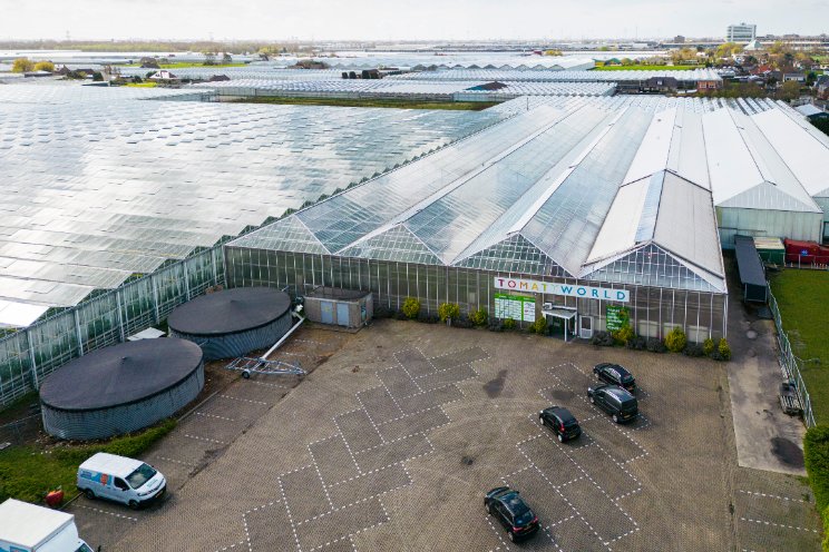 Nieuw teeltseizoen krijgt vorm bij Tomatoworld
