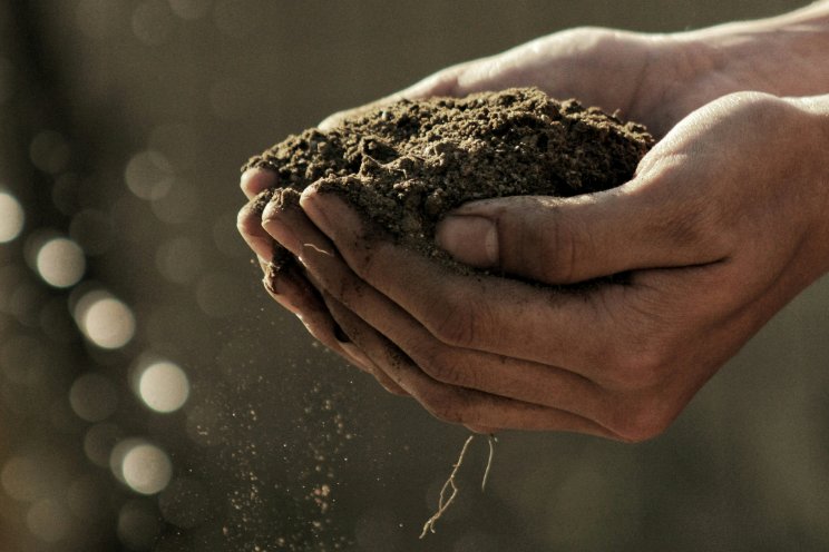 Milieu-impact potgrond blijkt niet zo zwart-wit